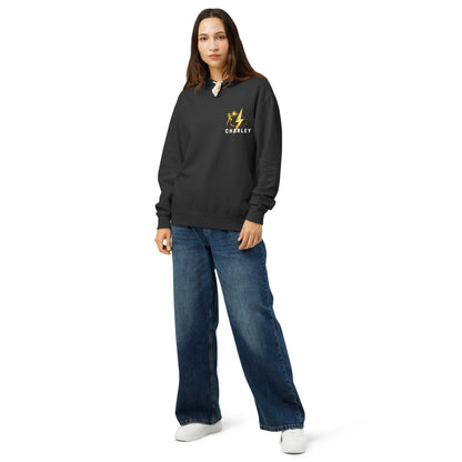 Powered by Charley Magic Hoodie